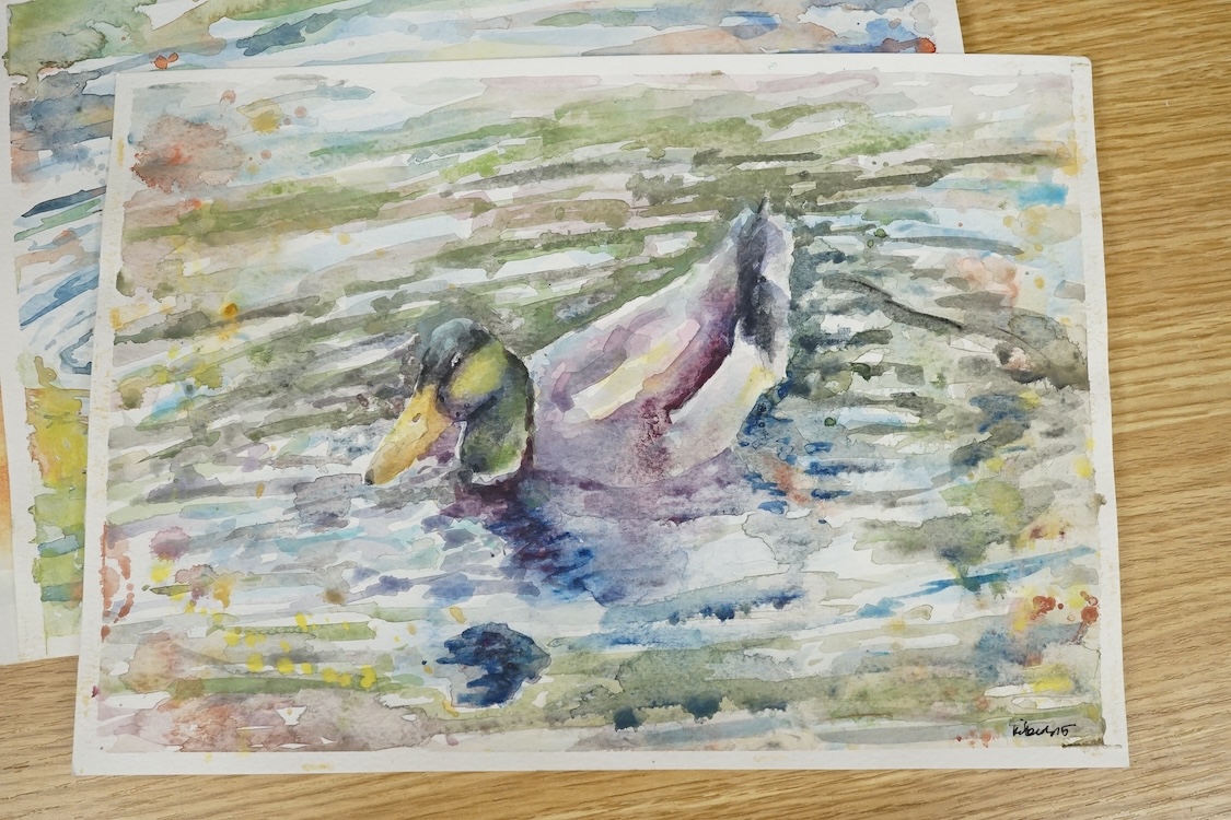 Baris Ali Kibar (Contemporary), ten watercolours on card, Wildlife to include ducks, horses, kingfisher and African wildlife, some signed, unframed, 21 x 29cm. Condition - fair